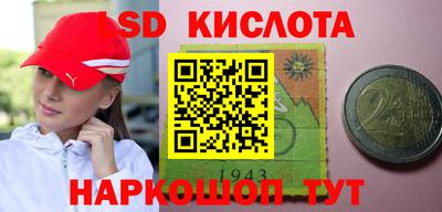 дмт Краснодар