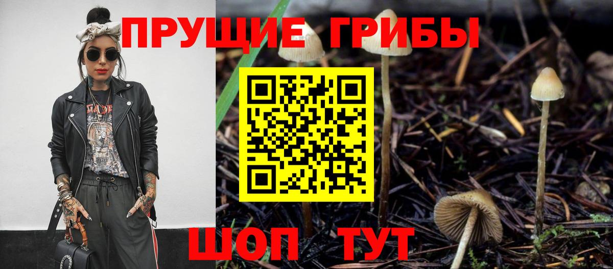 Псилоцибиновые грибы мухоморы Вичуга
