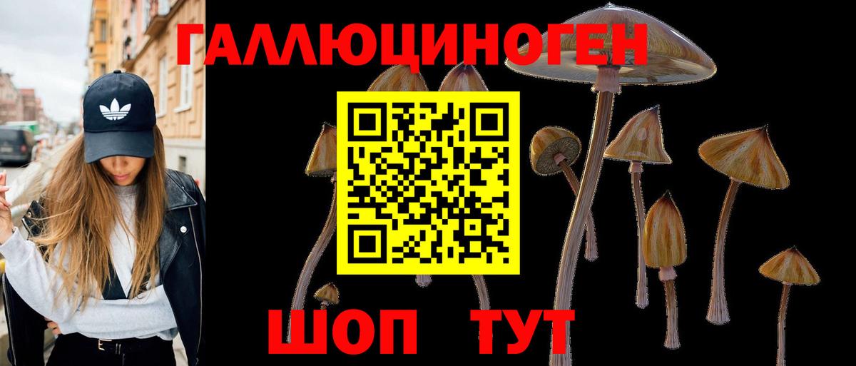 Галлюциногенные грибы Magic Shrooms  купить  цена  Вичуга  Псилоцибиновые грибы Magic Shrooms  Вход с VPN 