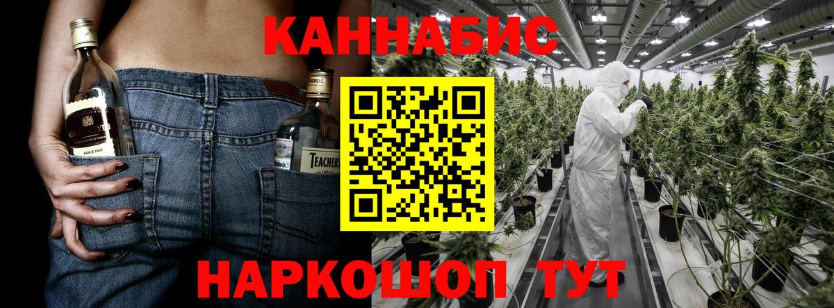 Каннабис индика Вичуга